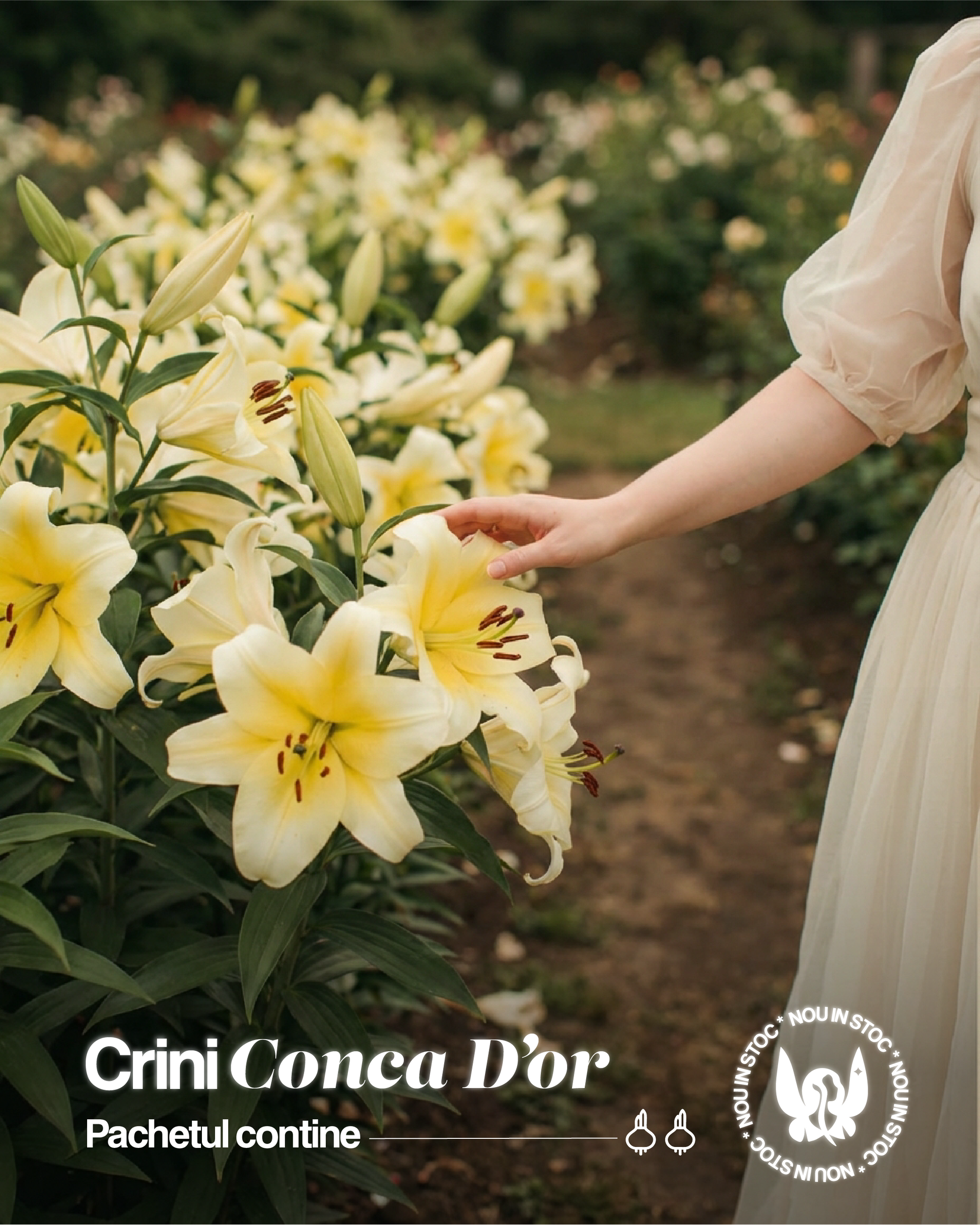 CRIN TIP COPAC - CONCA D'OR - Pachet 2 bulbi