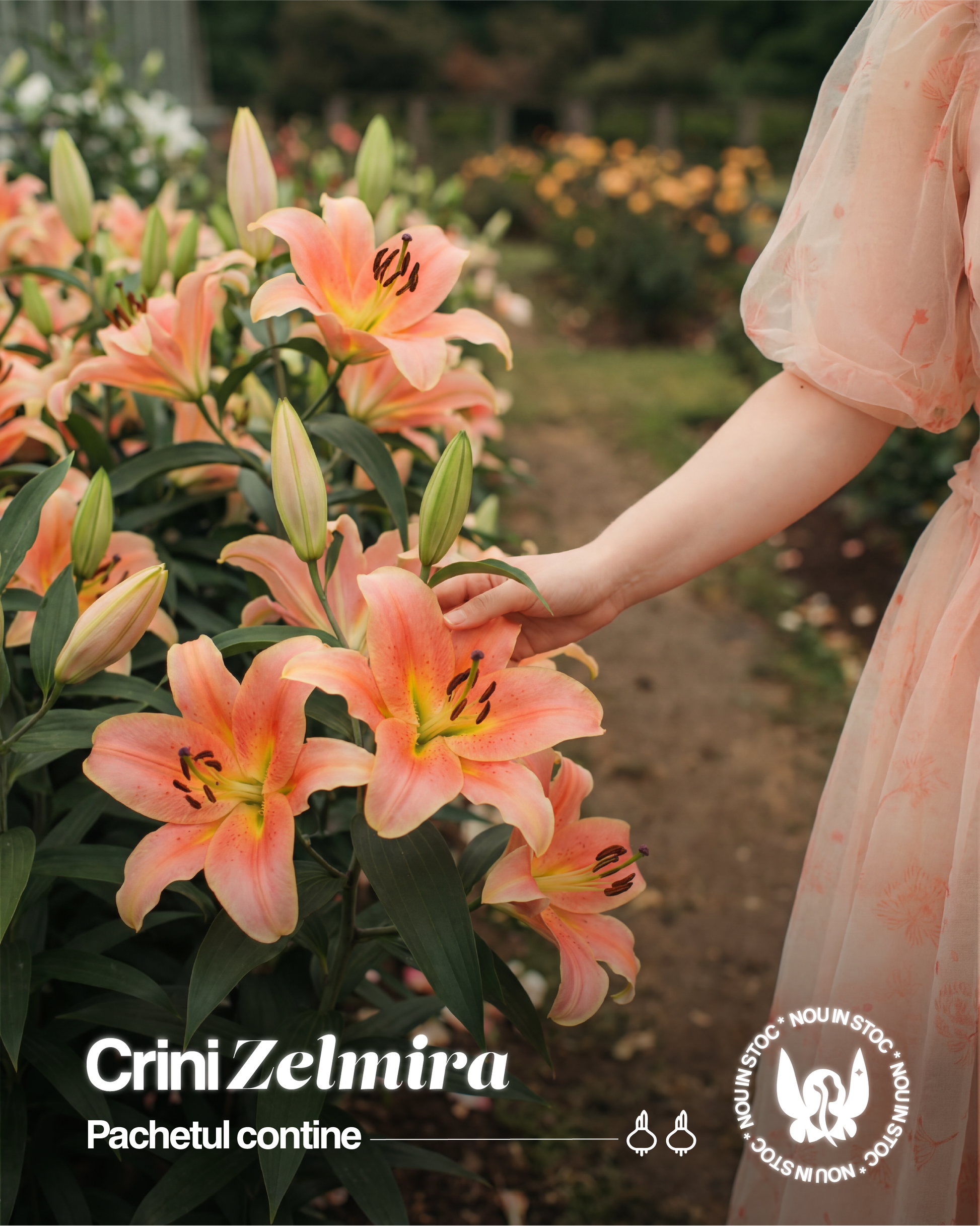 CRIN IMPERIAL - ZELMIRA - Pachet 2 bulbi