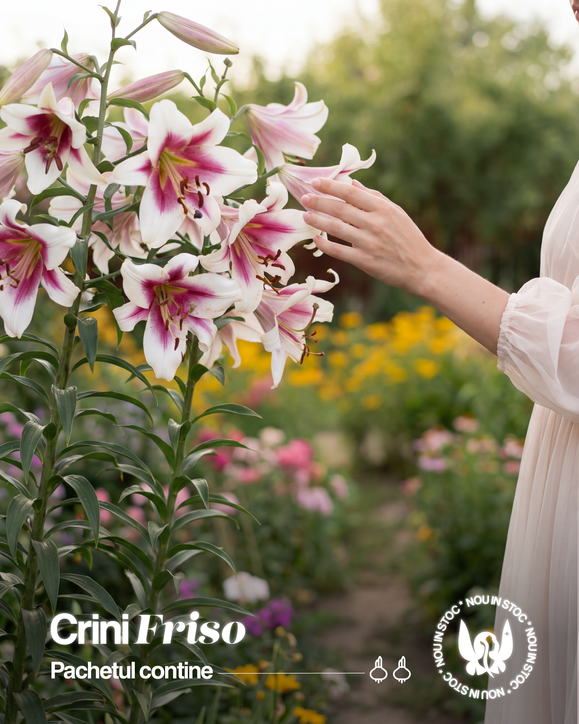 CRIN TIP COPAC - FRISO - Pachet 2 bulbi