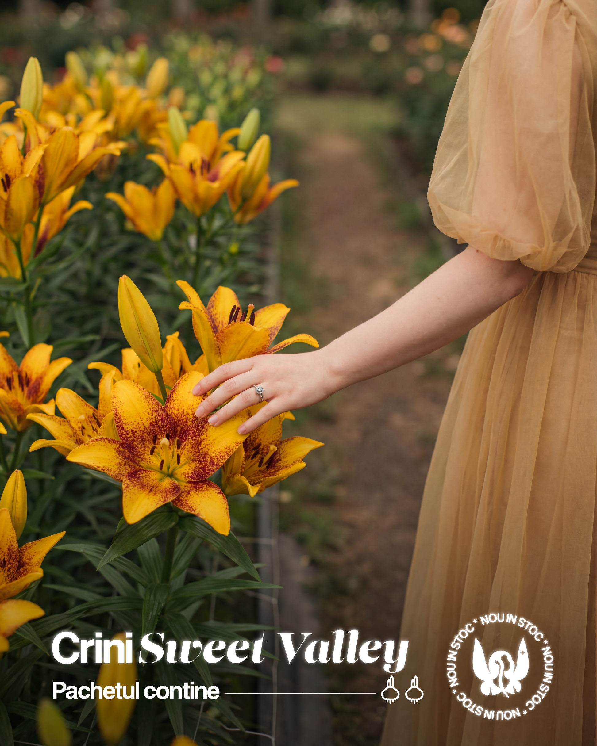 Crini Sweet Valley - Pachet 2 bulbi