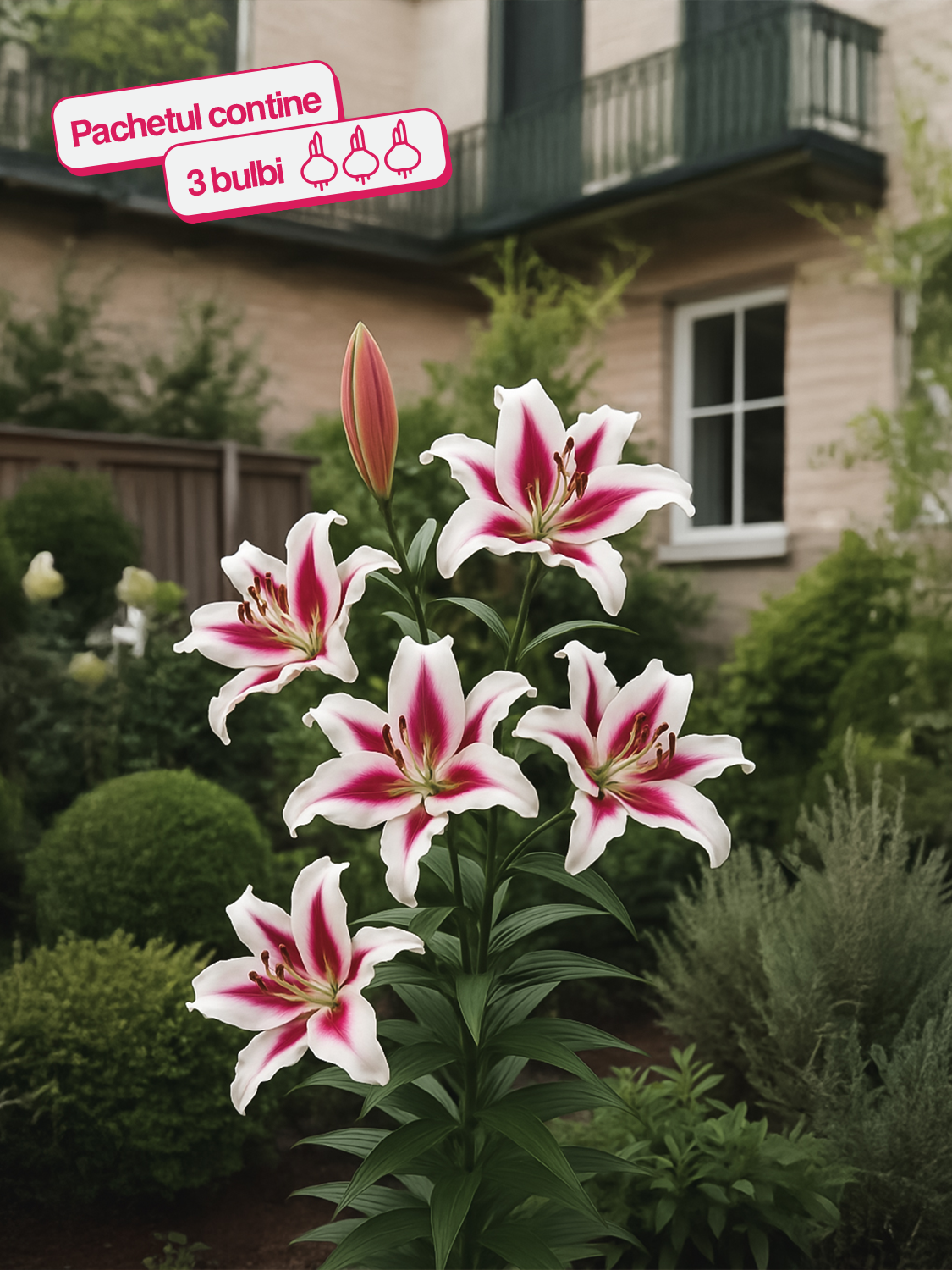 CRIN IMPERIAL GAUCHO®